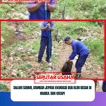 Dalam Sehari, Damkar Jepara Evakuasi Dua Ular Besar di Ngabul dan Kecapi