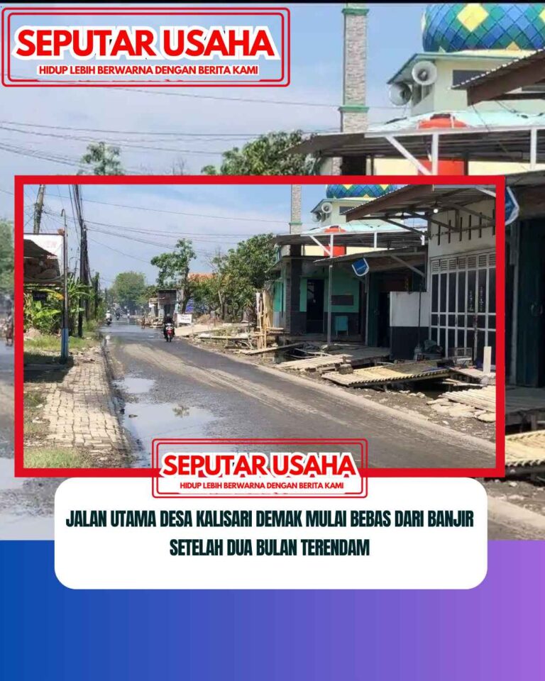 Jalan Utama Desa Kalisari Demak Mulai Bebas dari Banjir setelah Dua Bulan Terendam