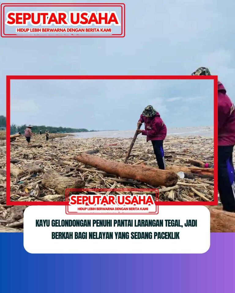 Kayu Gelondongan Penuhi Pantai Larangan Tegal, Jadi Berkah Bagi Nelayan yang Sedang Paceklik